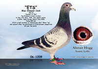 View larger image