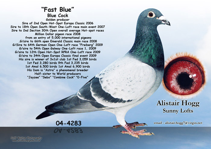 Fast Blue