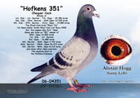 Hofkens 351