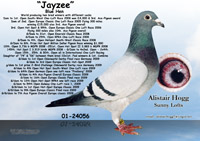 View larger image
