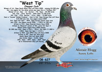 West Tip