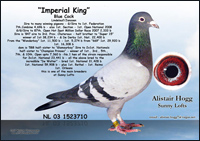 Imperial King