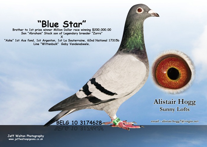 Blue Star