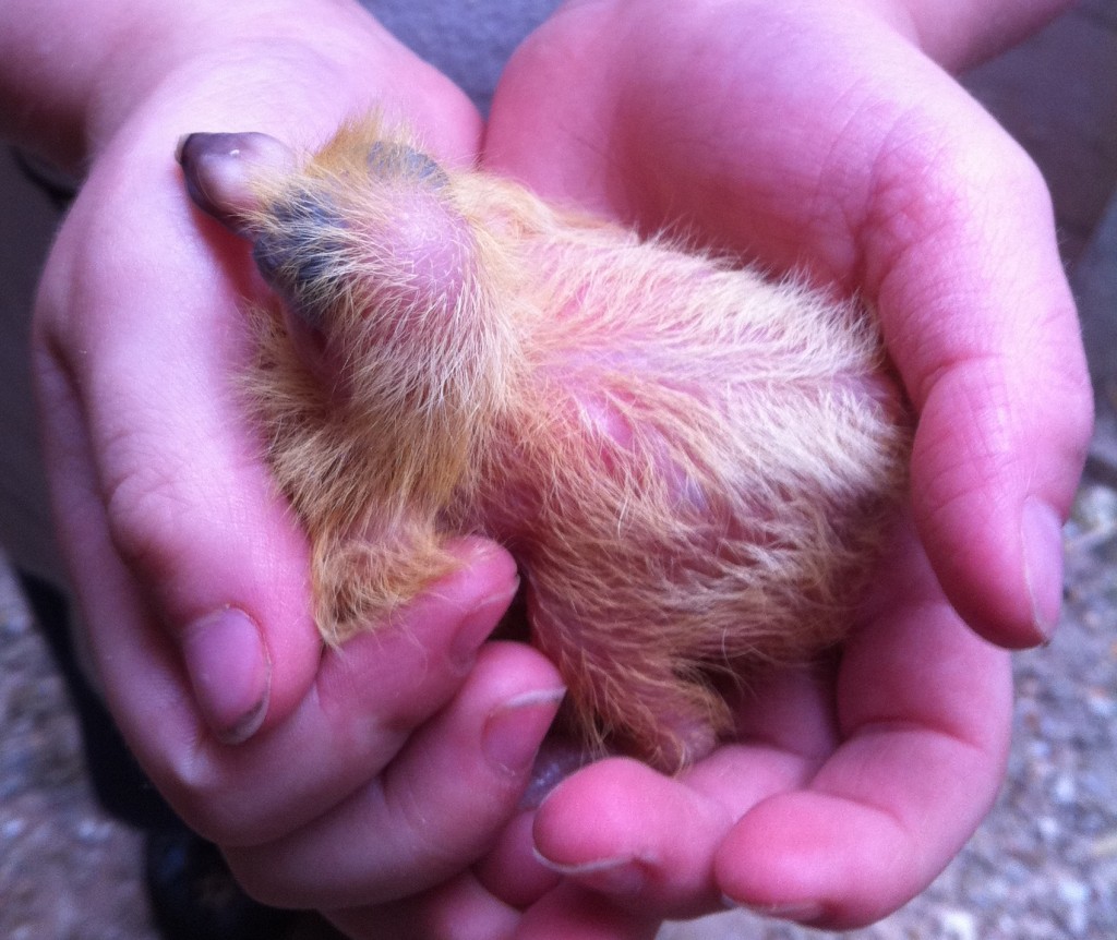 alis-copy-of-photos-545